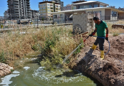 Adıyaman Merkez'de Süren Sivrisinek ve Haşere İlaçlama Çalışmaları