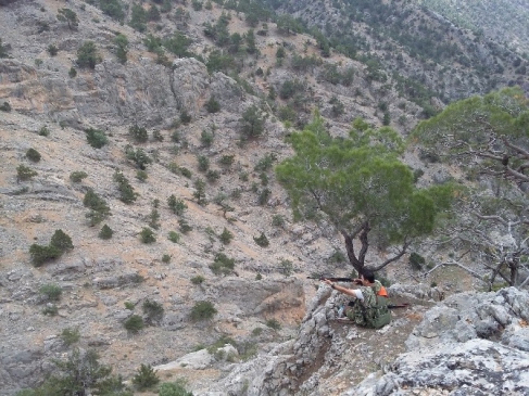 Karaman'da Yaban Domuzu Sürek Avları Devam Ediyor