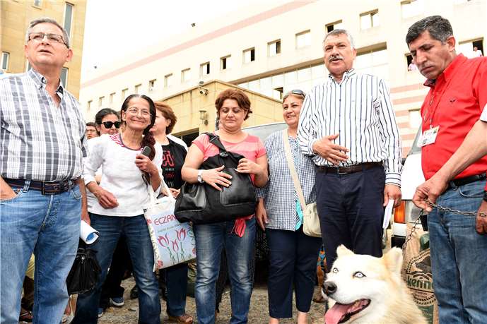 Seyhan Belediyesi, Sokak Hayvanlarına Destek Veriyor