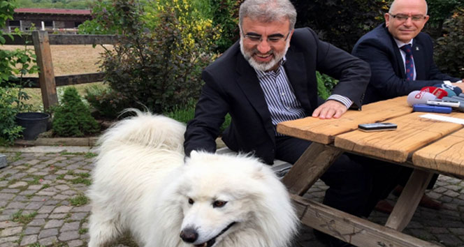 Taner Yıldız'dan Kediler Açıklamasına Esprili Yanıt