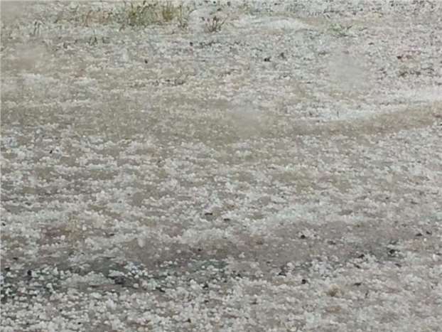 Kırşehir'de Dolu Yağışı Tarım Arazilerine Zarar Verdi