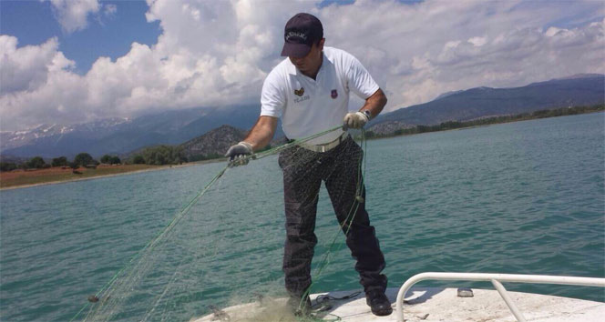 Beyşehir'de Jandarma Kaçak Avcılara Göz Açtırmadı