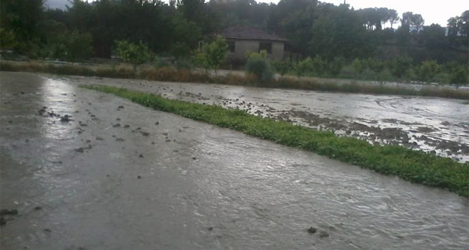 Manisa'da Şiddetli Yağmur Hayatı Felç Etti