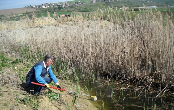 Gelibolu'da Sivrisinek Mücadelesi Devam Ediyor