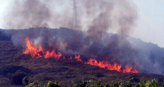 Çeşme'de Makilik Alanda Yangın Korkuttu