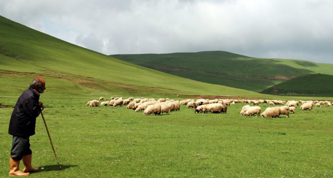 Perşembe Yaylası’nda Doğa Harikası Manzaralar