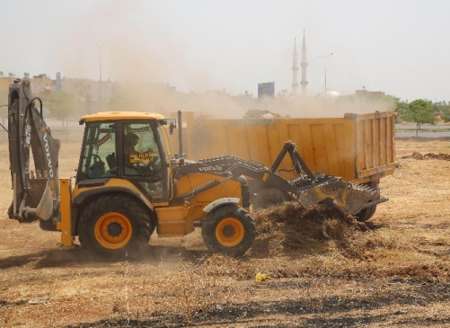 Haliliye'de Yabani Ot Temizleme Çalışması Başlatıldı