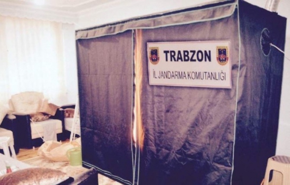 Trabzon'un Of ilçesinde Kenevir Yetiştirme Sistemi Bulundu