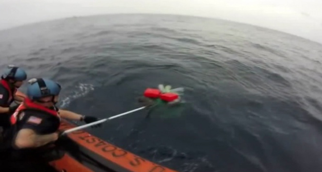 Okyanusta Kaplumbağa Kurtarma Operasyonu Gerçekleşti