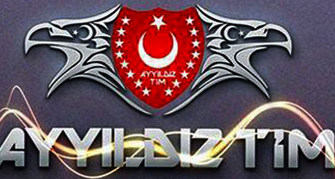 Alman Kurumlarına Siber Saldırı: Türk Hacker Grubu Aydıldız TİM İşi Üstlendi