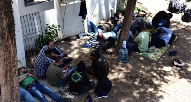 Bodrum'da Kaçak Göçmen Operasyonu: 150 Gözaltı