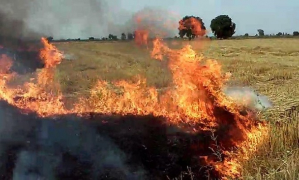 Adana'da Anız Yangınları Paniğe Neden Oldu