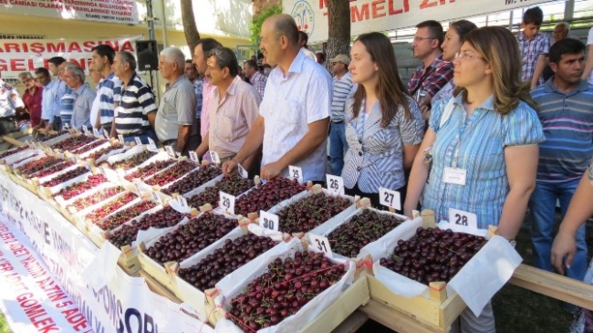 Yeşilyurt'ta En Güzel Kiraz ve Bahçe Yarışması Yapılacak