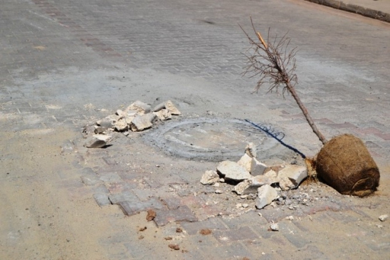 Ayvalık'ta Temizlik Çalışmaları Devam Ediyor