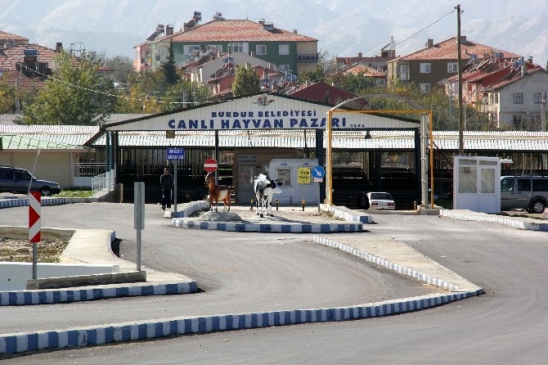 Burdur'da Canlı Hayvan Pazarı Yeniden Faaliyete Geçiyor