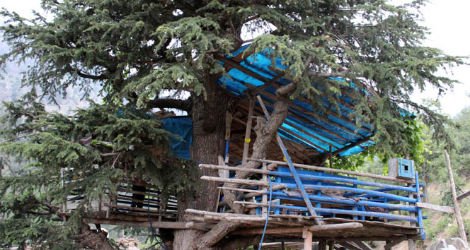 Kahramanmaraş’ta 25 Yıldır Ağaç Evde Yaşıyorlar