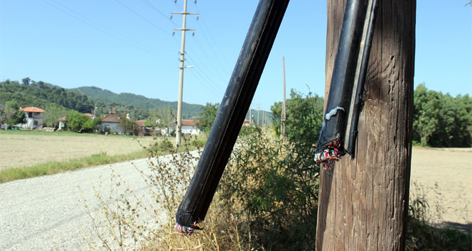 Muğla'da Kablo Hırsızlığı Çetesi Yakalandı