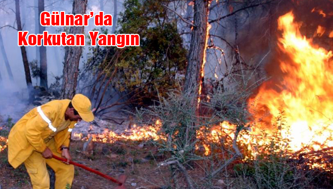 Mersin'de Orman Yangını