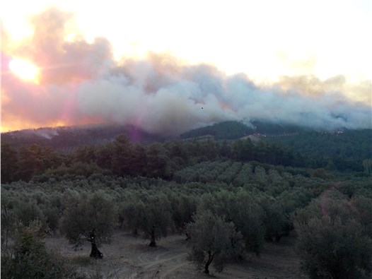 Bursa’daki orman yangını 15 dakikada büyüdü