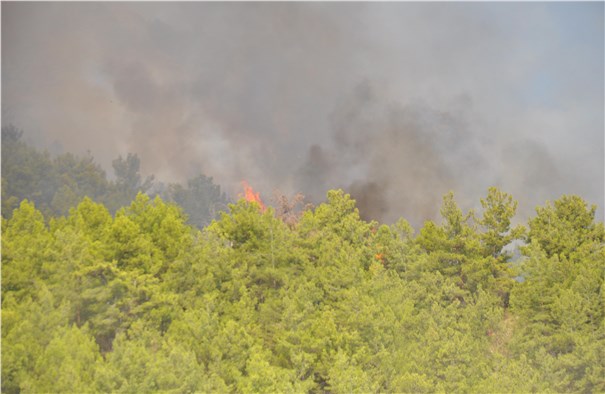 Karakaya'da çıkan yangın 20 hektarlık alanda etkili oldu