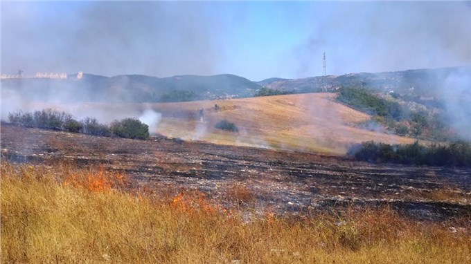 Kanepeyi yakarken otluk alanı tutuşturdu