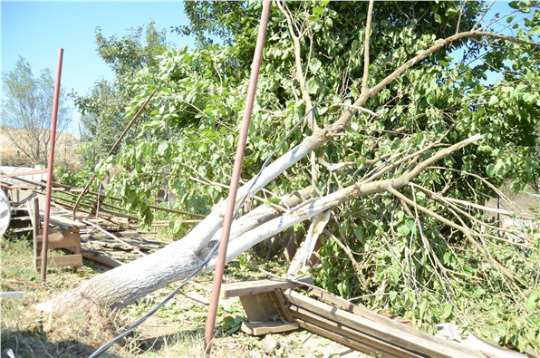 "Tapulu arazimdeki evimi yıktılar, ağaçlarımı kestiler"