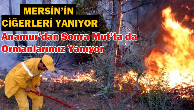 Mersin'de Korkutan Orman Yangını