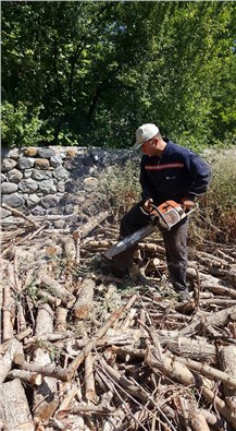 Kışın yakacakları odunları şimdiden hazırlıyorlar