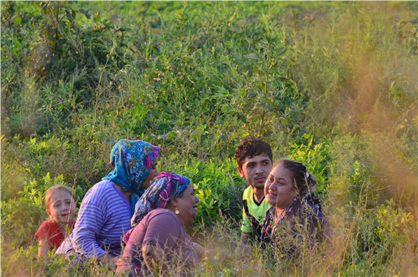 Takla atan otomobilin sürücüsü öldü, 3 kişi yaralandı