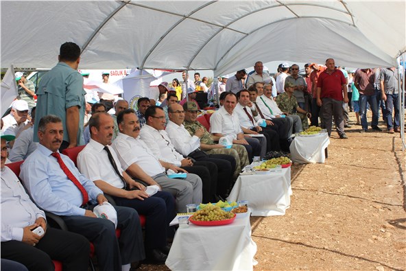 Kâhta’da badem hasadı etkinliği düzenlendi