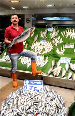 Balık sezonu Kayseri’de bereketli başladı