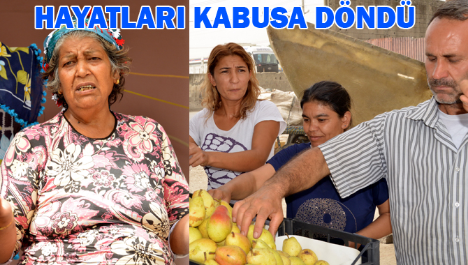 Mersin’de 1400 Ton Çürümüş Et Mahalle Sakinlerini İsyan Ettirdi