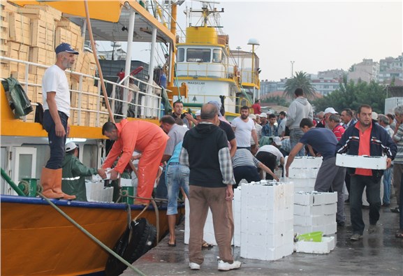 Güney Marmara'da balık bereketi