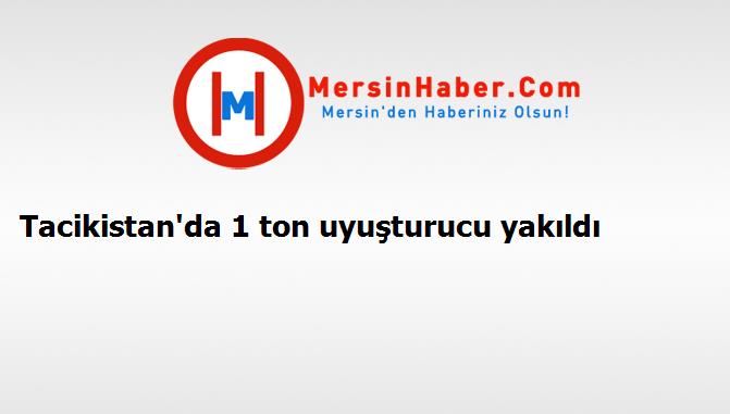 Tacikistan'da 1 ton uyuşturucu yakıldı