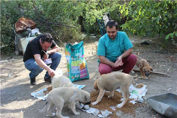 Akçatekir’deki sokak hayvanlarına beslenme ve tedavi desteği