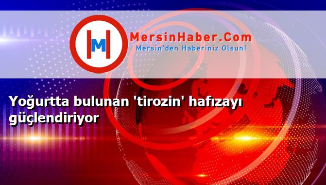 Yoğurtta bulunan 'tirozin' hafızayı güçlendiriyor