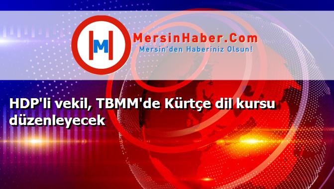 HDP'li vekil, TBMM'de Kürtçe dil kursu düzenleyecek