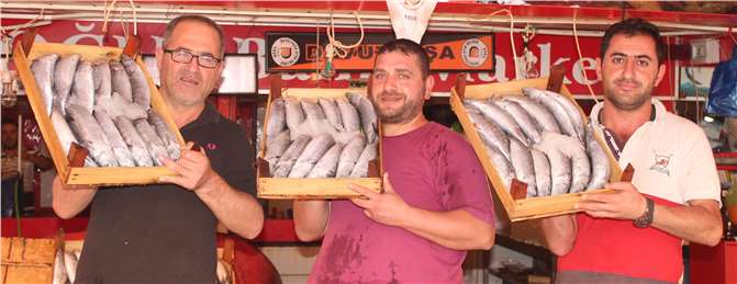 Bandırma’da palamut fiyatları 10 TL’ye düştü