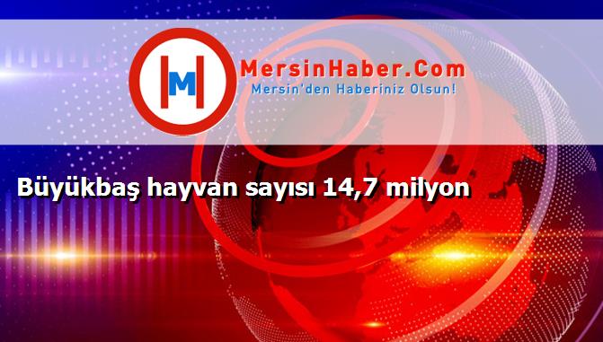 Büyükbaş hayvan sayısı 14,7 milyon