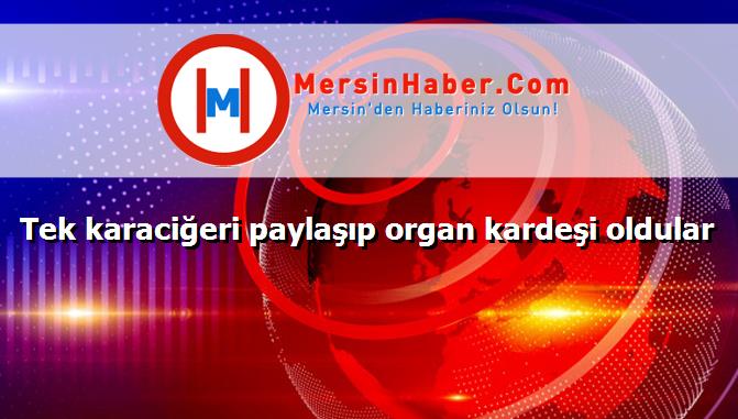 Tek karaciğeri paylaşıp organ kardeşi oldular