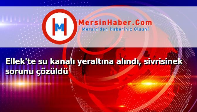 Ellek'te su kanalı yeraltına alındı, sivrisinek sorunu çözüldü