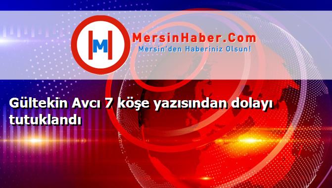 Gültekin Avcı 7 köşe yazısından dolayı tutuklandı