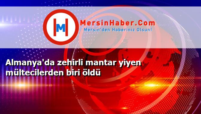 Almanya'da zehirli mantar yiyen mültecilerden biri öldü
