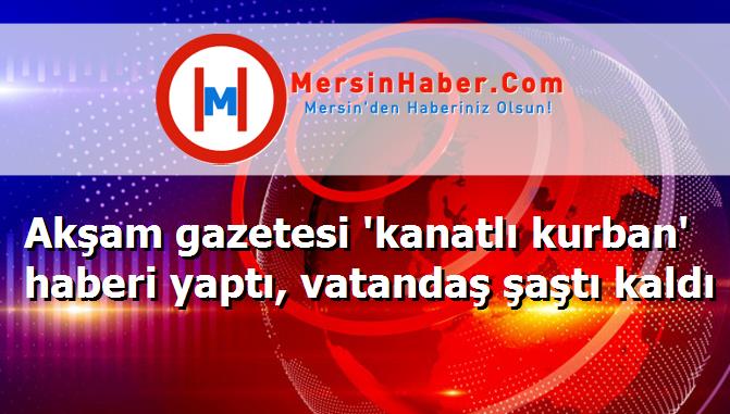 Akşam gazetesi 'kanatlı kurban' haberi yaptı, vatandaş şaştı kaldı