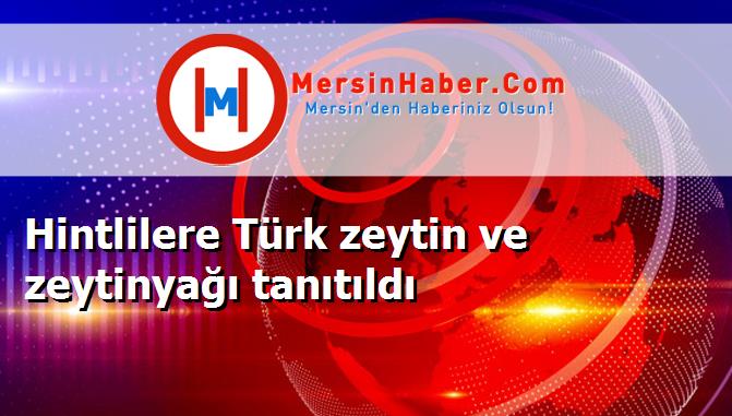 Hintlilere Türk zeytin ve zeytinyağı tanıtıldı