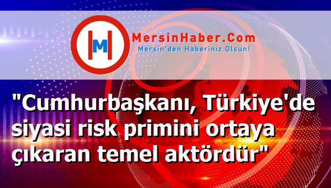 "Cumhurbaşkanı, Türkiye'de siyasi risk primini ortaya çıkaran temel aktördür"