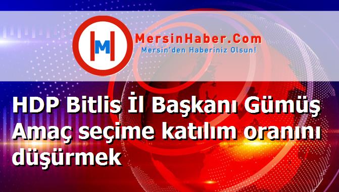HDP Bitlis İl Başkanı Gümüş Amaç seçime katılım oranını düşürmek