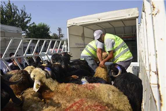 Mersin'de şehit ailelerine kurban dağıtıldı