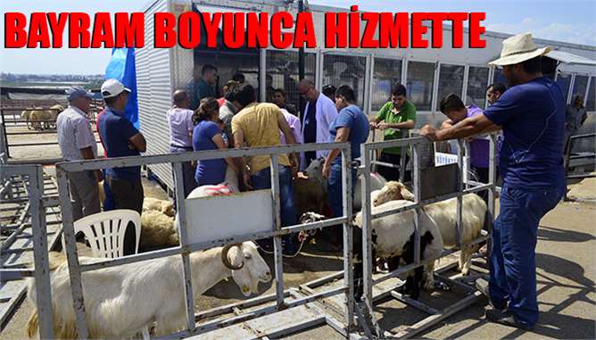 Mobil Kesim Üniteleri’ne Mersinlilerden Yoğun İlgi