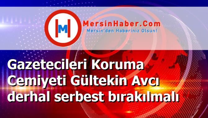 Gazetecileri Koruma Cemiyeti Gültekin Avcı derhal serbest bırakılmalı
